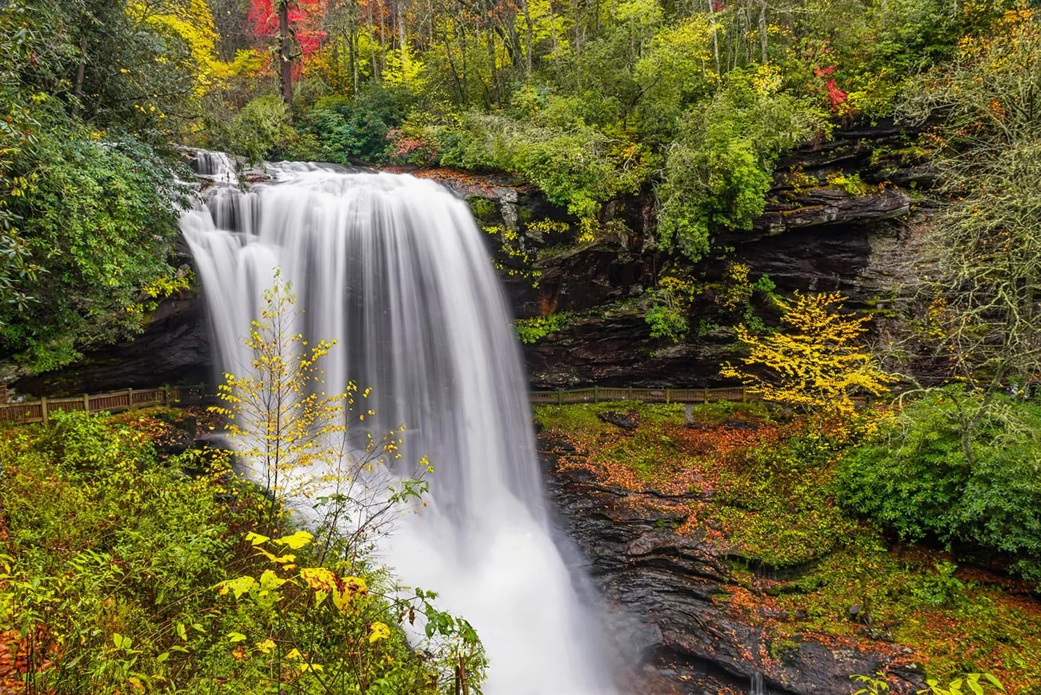 Dry Falls in Highlands, North Carolina with water cascading over the cliff, surrounded by trees transitioning to fall colors with red, yellow, and remaining green foliage.