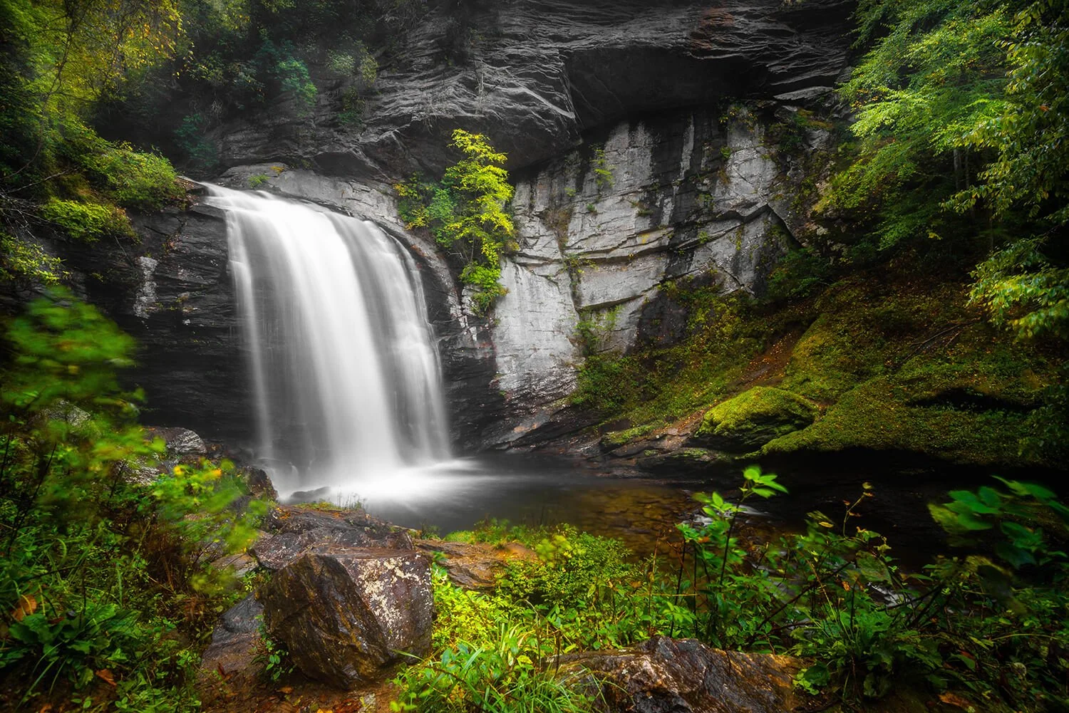 Looking Glass Falls