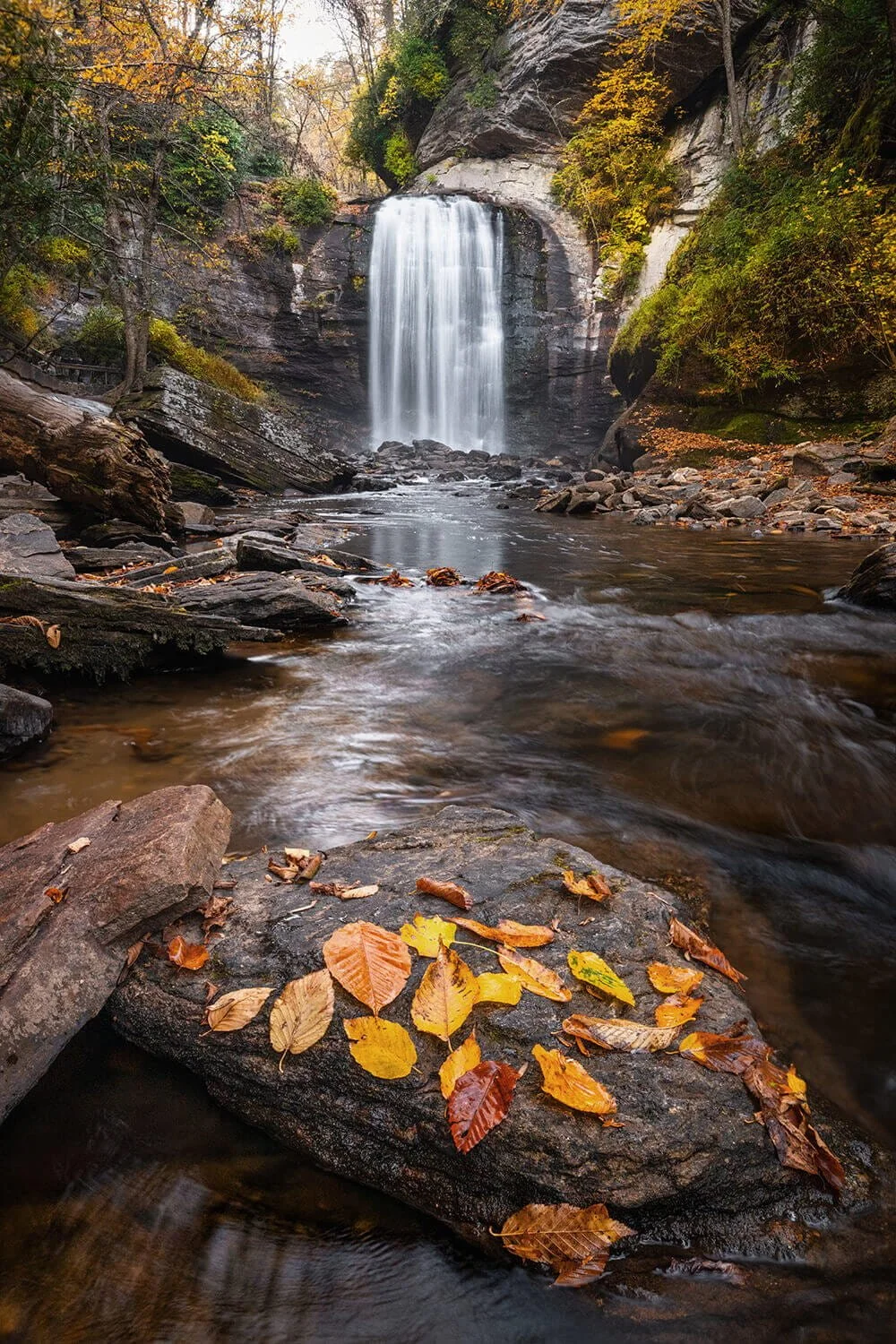 autumn-leaves-rock-looking-glass-falls-north-carolina.jpg