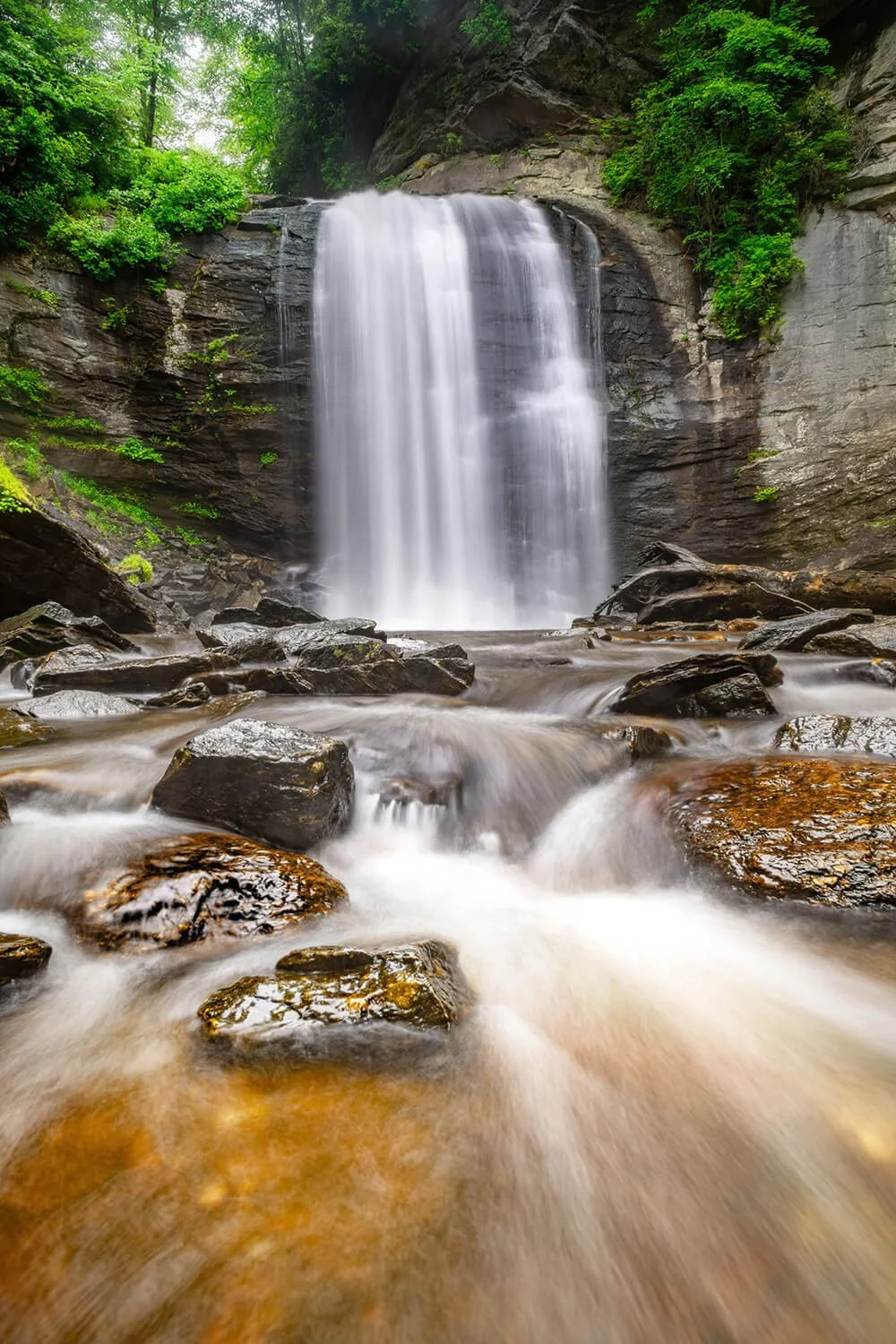looking-glass-falls-spring-foreground-rocks-water.jpg