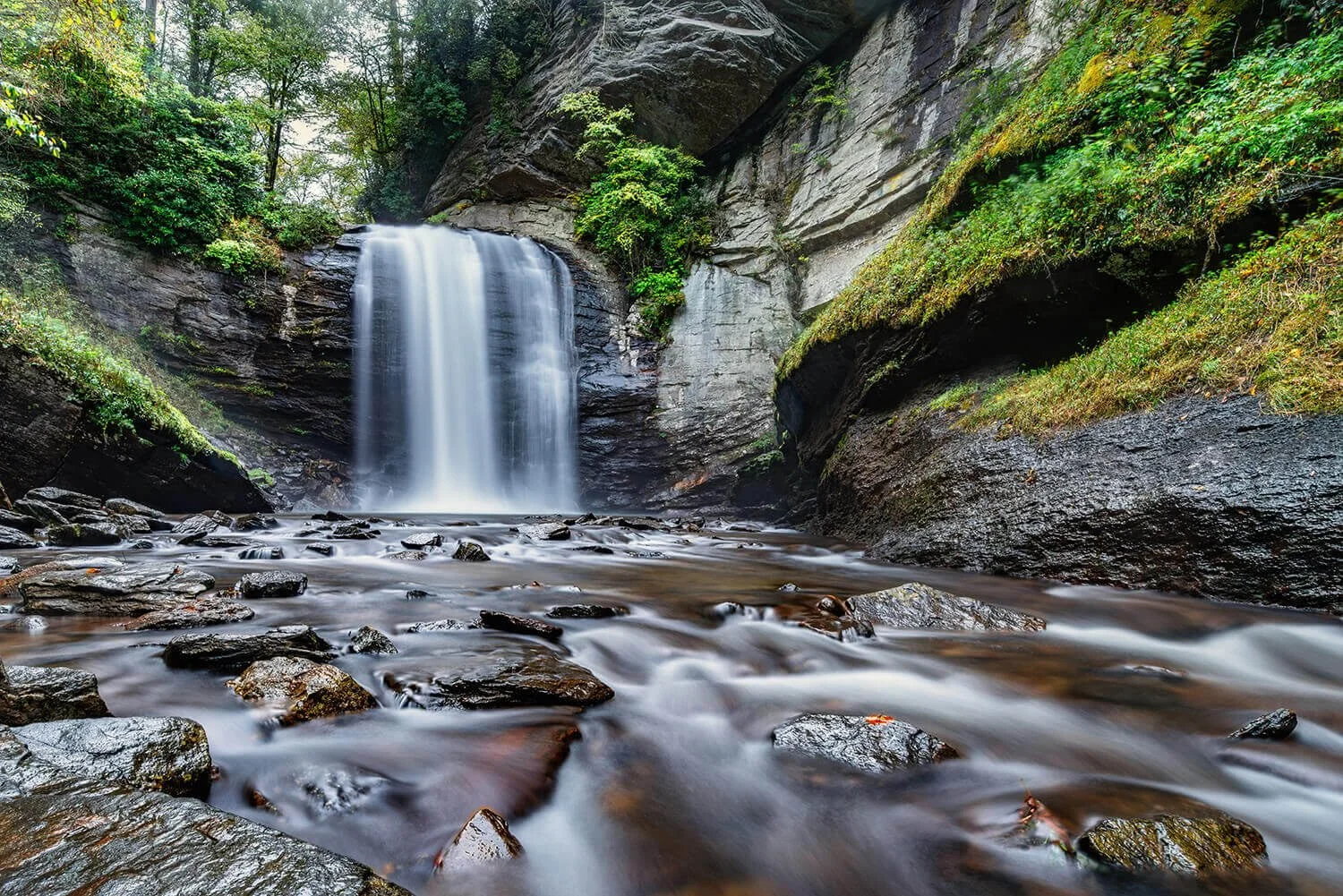 looking-glass-falls-spring-rocks-in-foreground-flowing-water.jpg (1).jpg