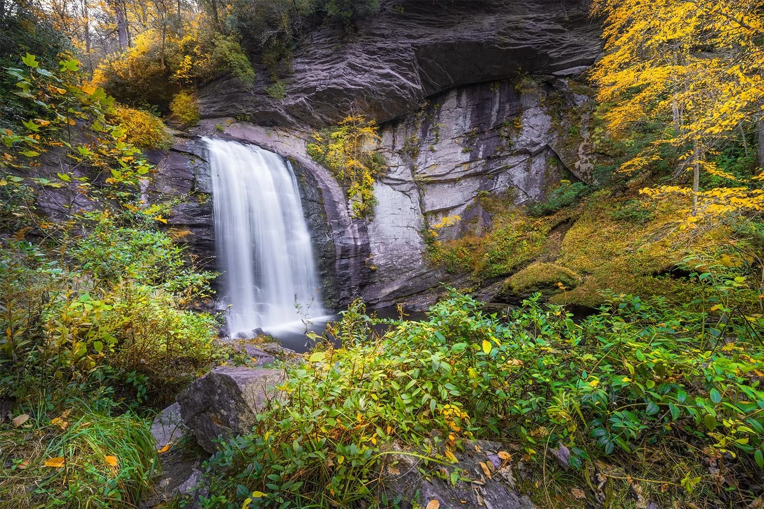 looking-glass-falls-fall-foliate-north-carolina.jpg.jpg