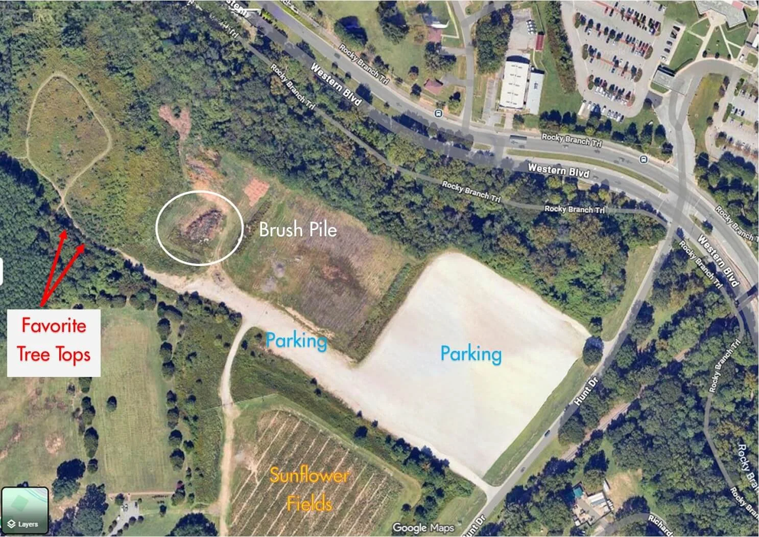 painted-bunting-dorothea-dix-park-map.jpg.jpg