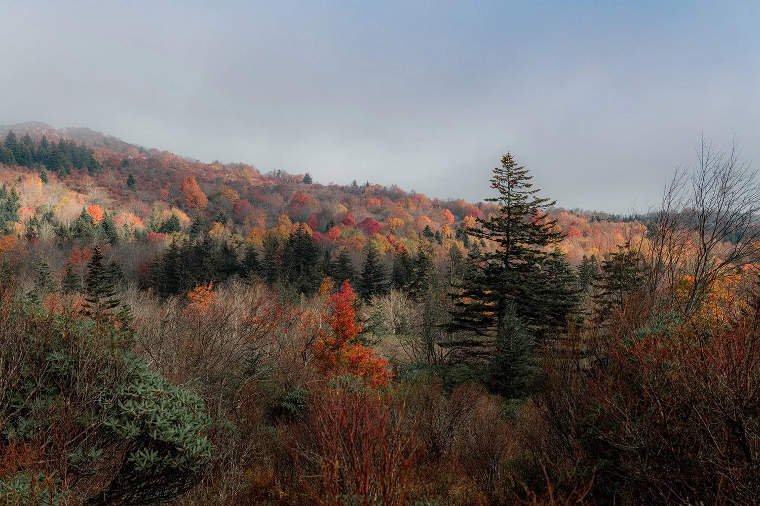 grayson-highlands-fall-foliage-october-virginia.jpg.jpg