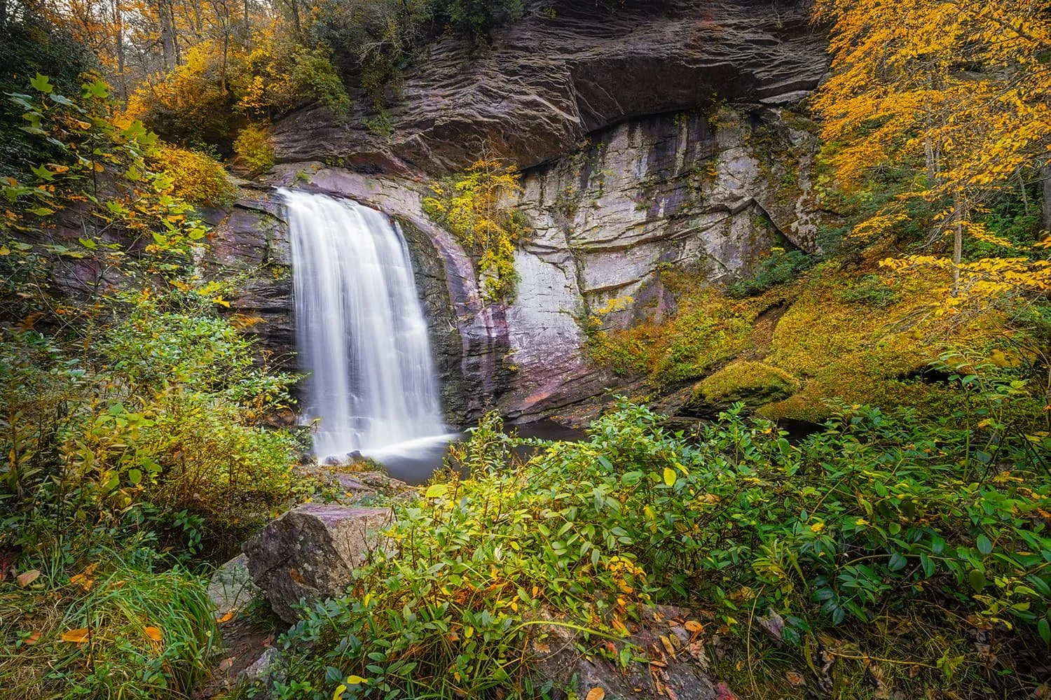 looking-glass-falls-distant-view-yellow-fall (1).jpg