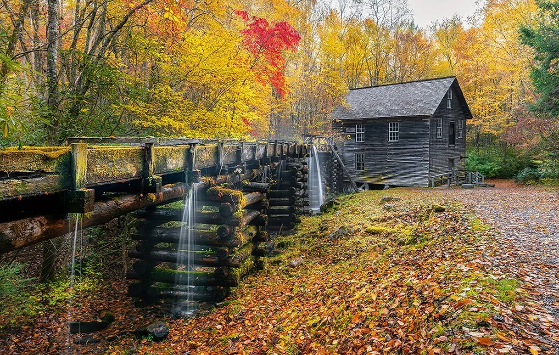 Mingus Mill in autumn with vibrant fall colors, with the wooden flume leading toward the mill.