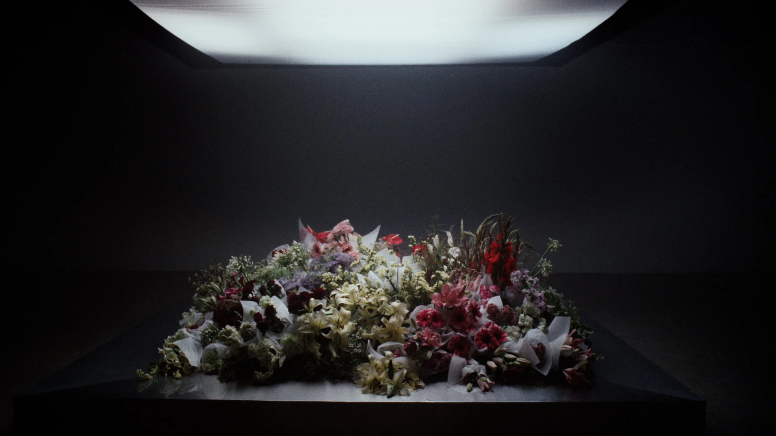 ShrineToMotherhood_01_Graded.00_00_01_00.Still001.jpg