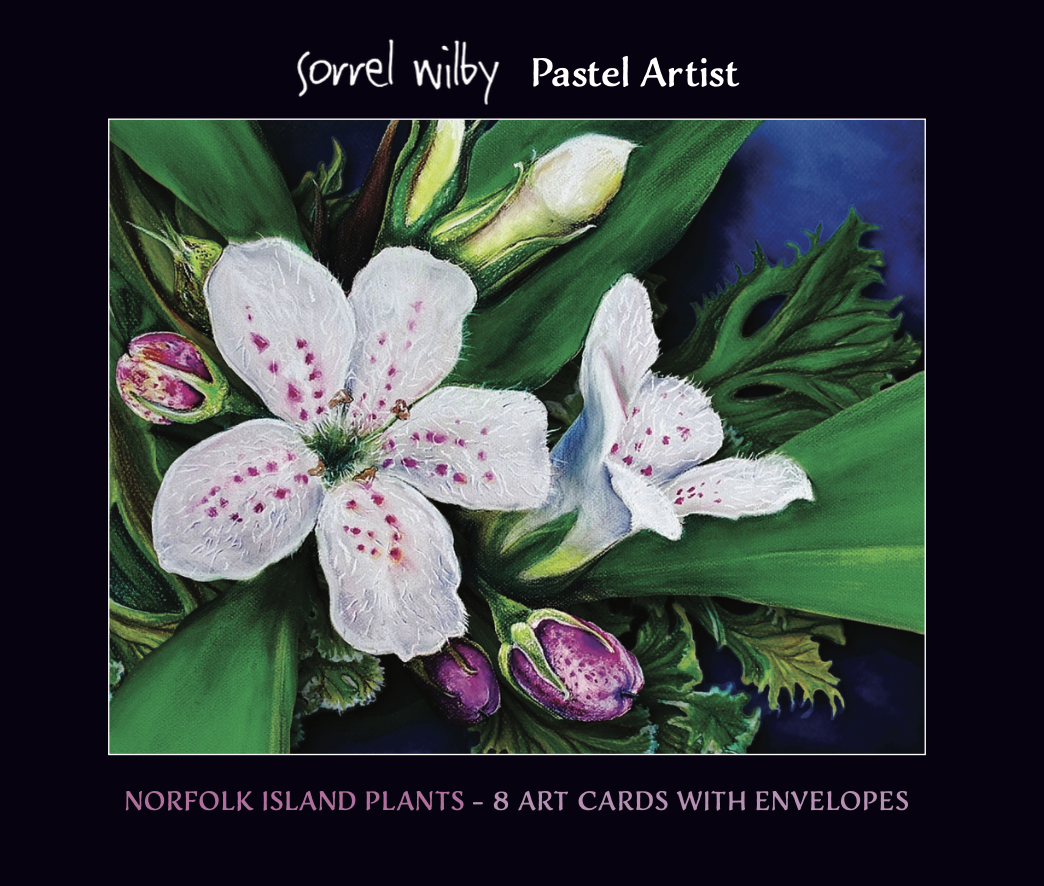 Boxed Set of 8 Cards - Flowers