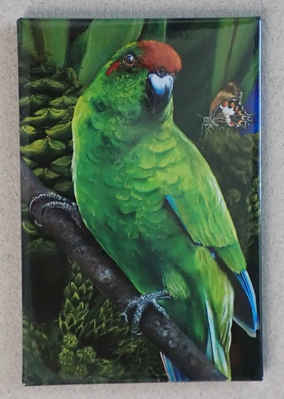 Fridge Magnet - Parakeet