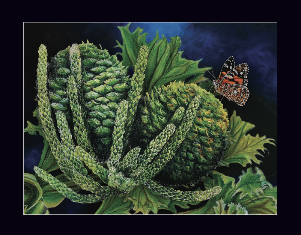 Screenshot 2026-01-06 at 11.14.06 AM.png