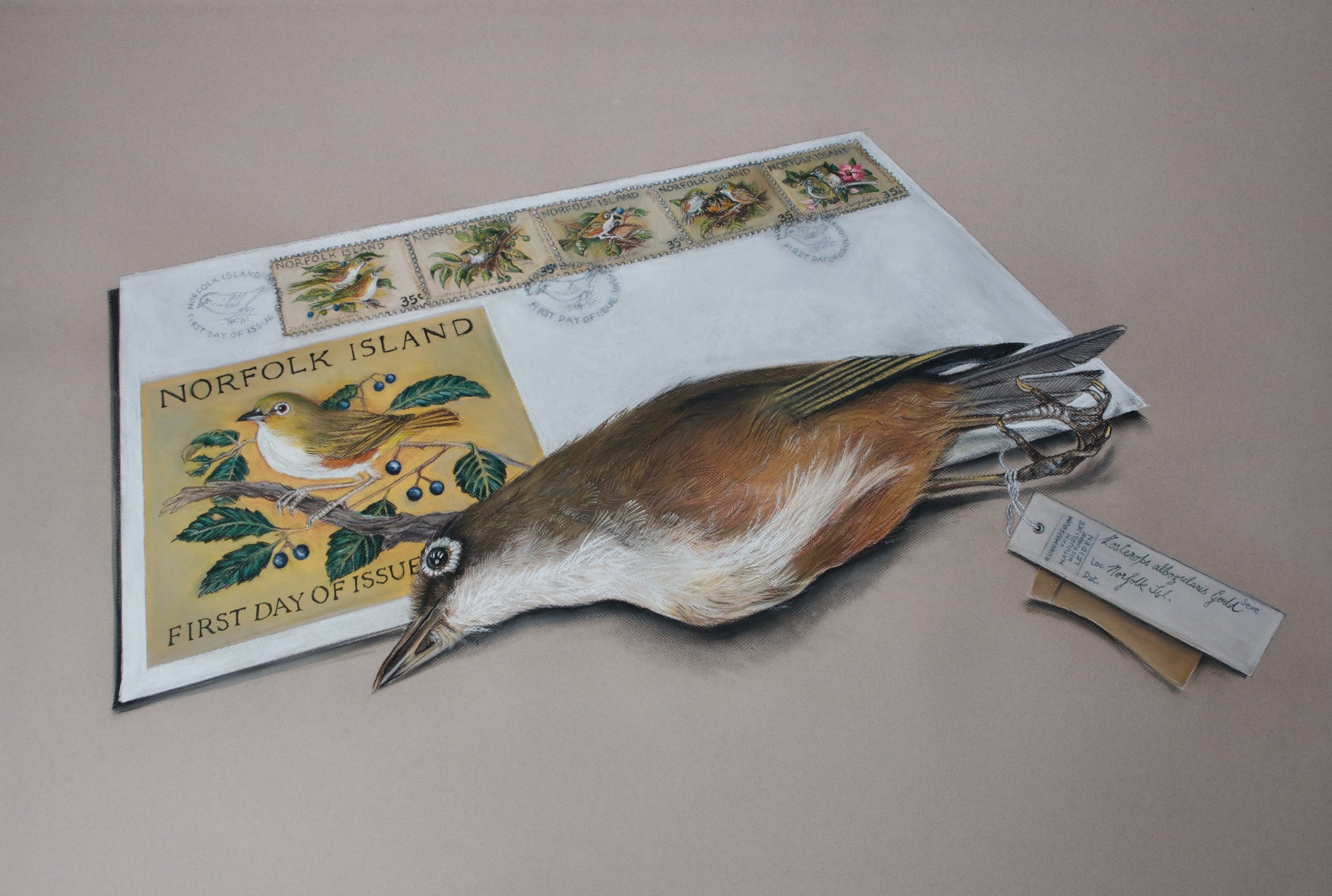 White-chested White-eye, Zosterops albogularis (extinct) lying on a first day cover