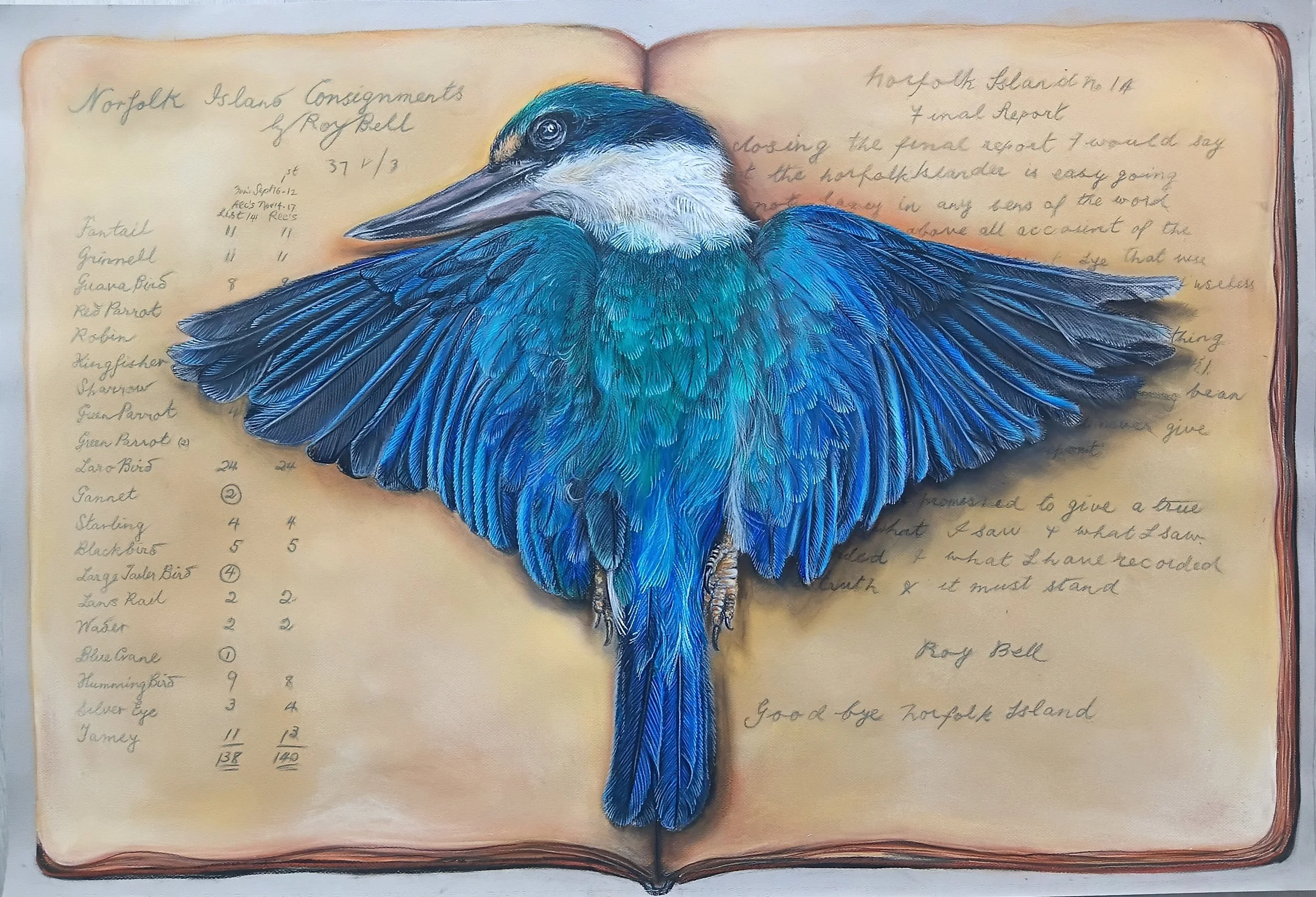 Sacred Kingfisher, Todiramphus sanctus norfolkensis, with a consignment list of birds killed by Roy Bell and sent to the controversial ornithlogist,  Mathews, for analysis. on the RHS of the imagined "book" is the introduction to his journal (aka fin