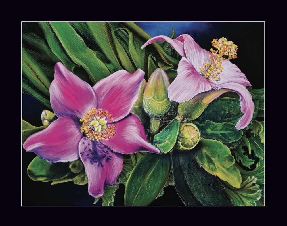 Screenshot 2026-01-06 at 11.14.35 AM.png