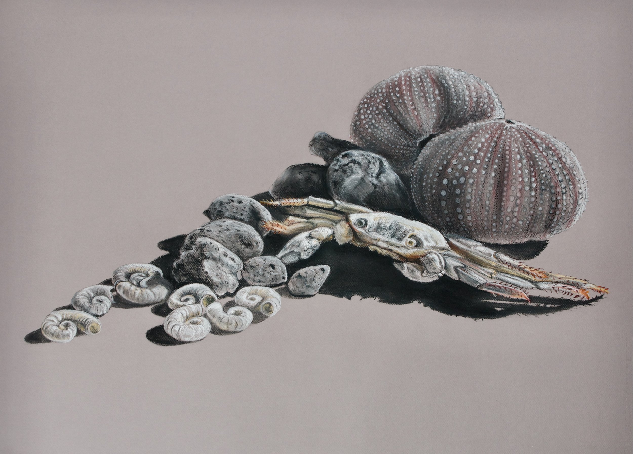 Molly's beach collection