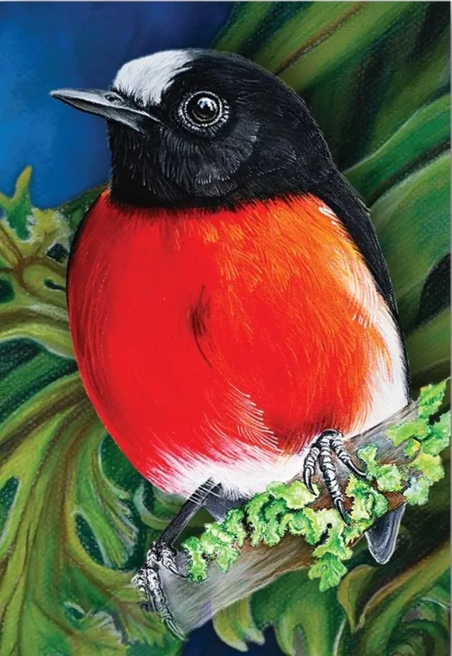 Fridge Magnet - Robin
