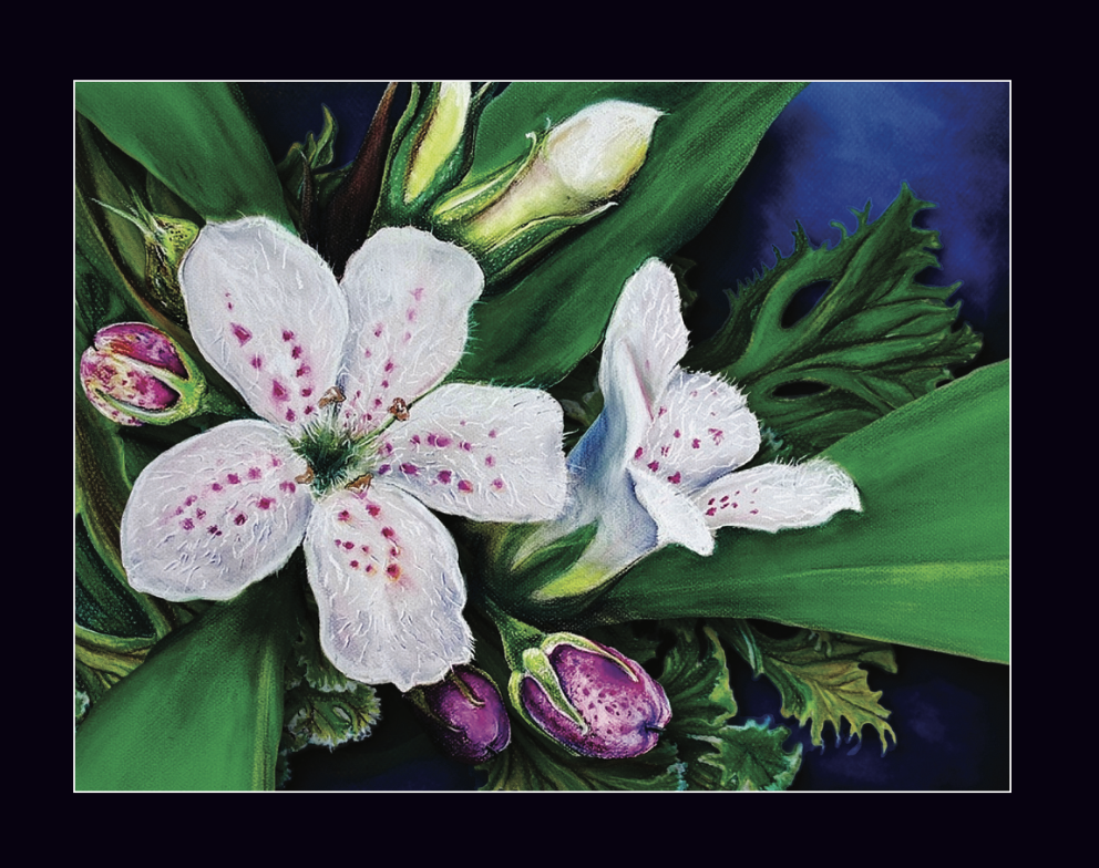 Screenshot 2026-01-06 at 11.13.14 AM.png