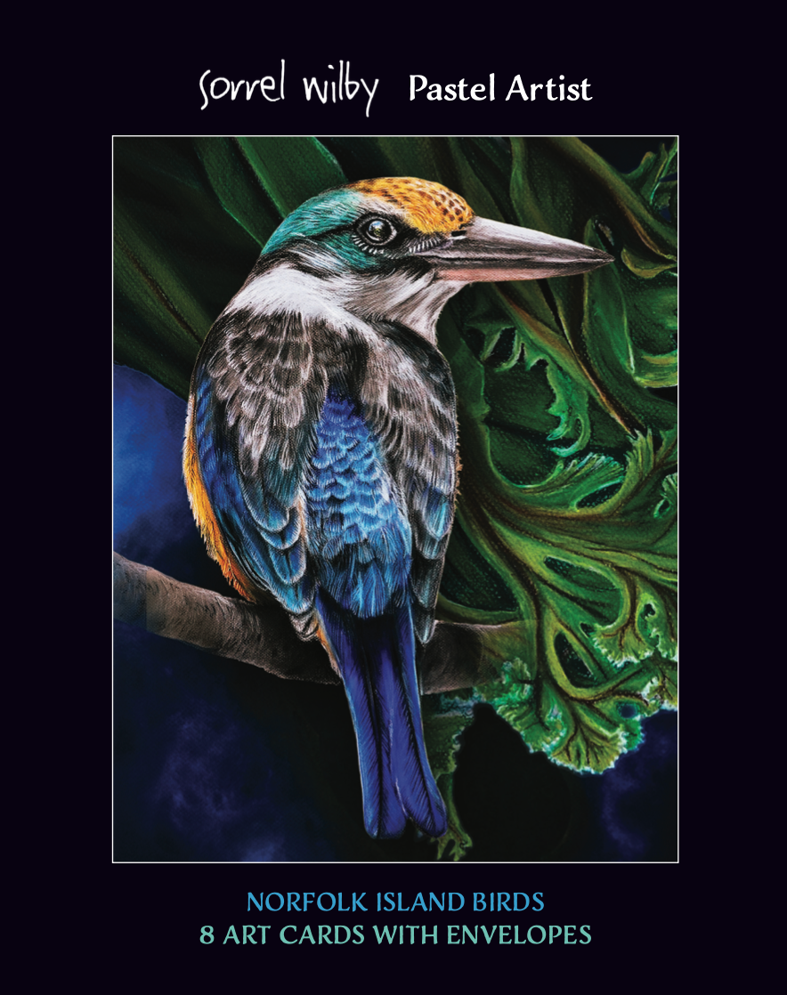 Boxed Set of 8 Cards - Birds