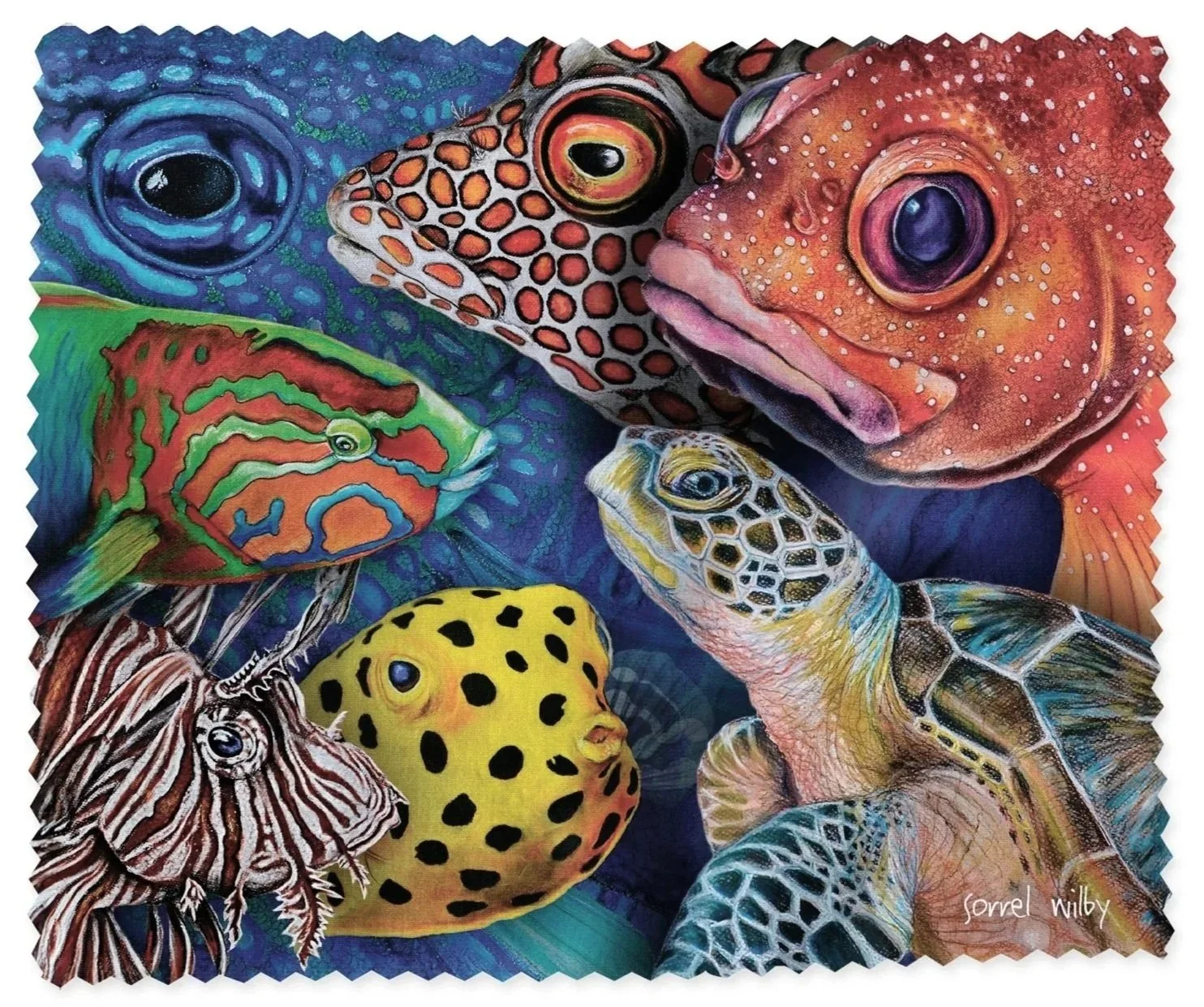 Lens Cloth - Marine Life