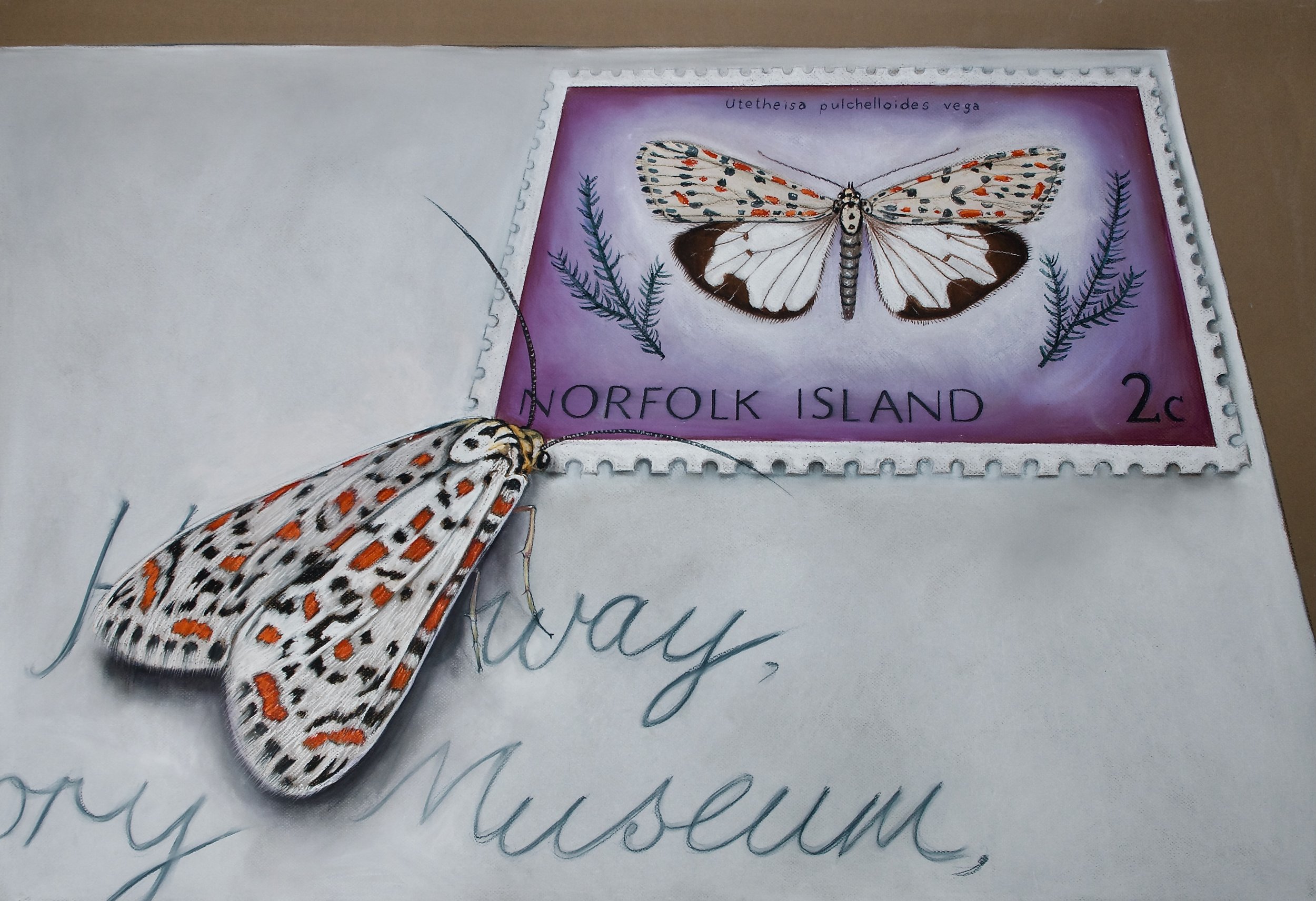 Crimson Speckled Footman, 