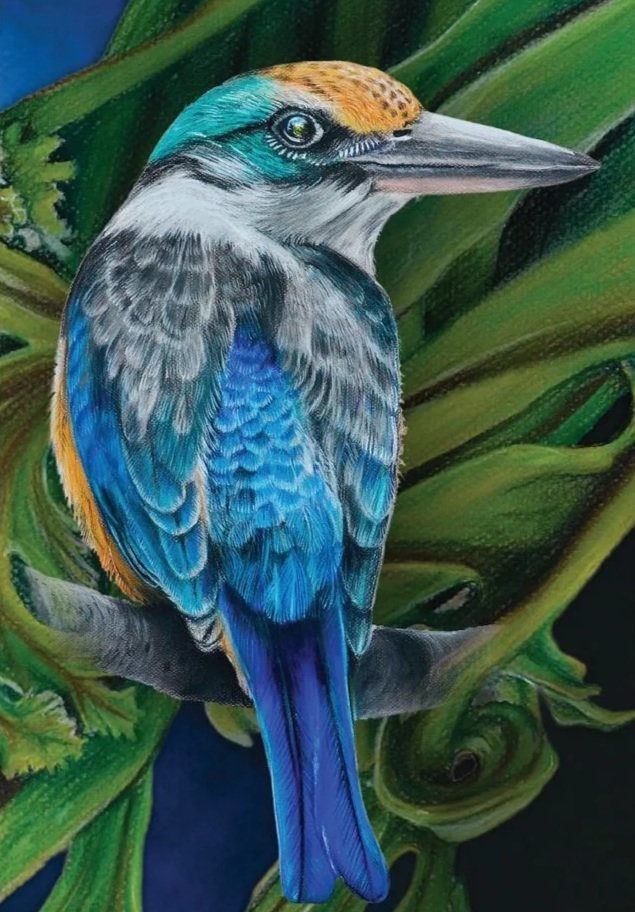 Fridge Magnet - Kingfisher