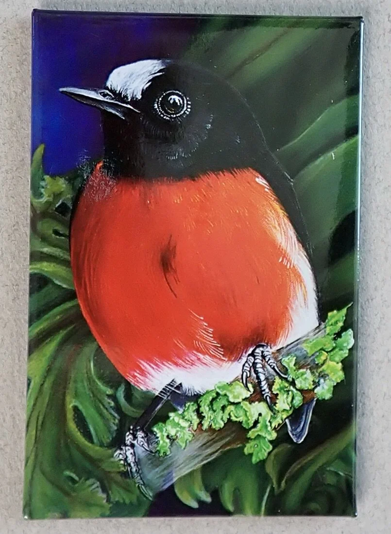 Fridge Magnet - Robin