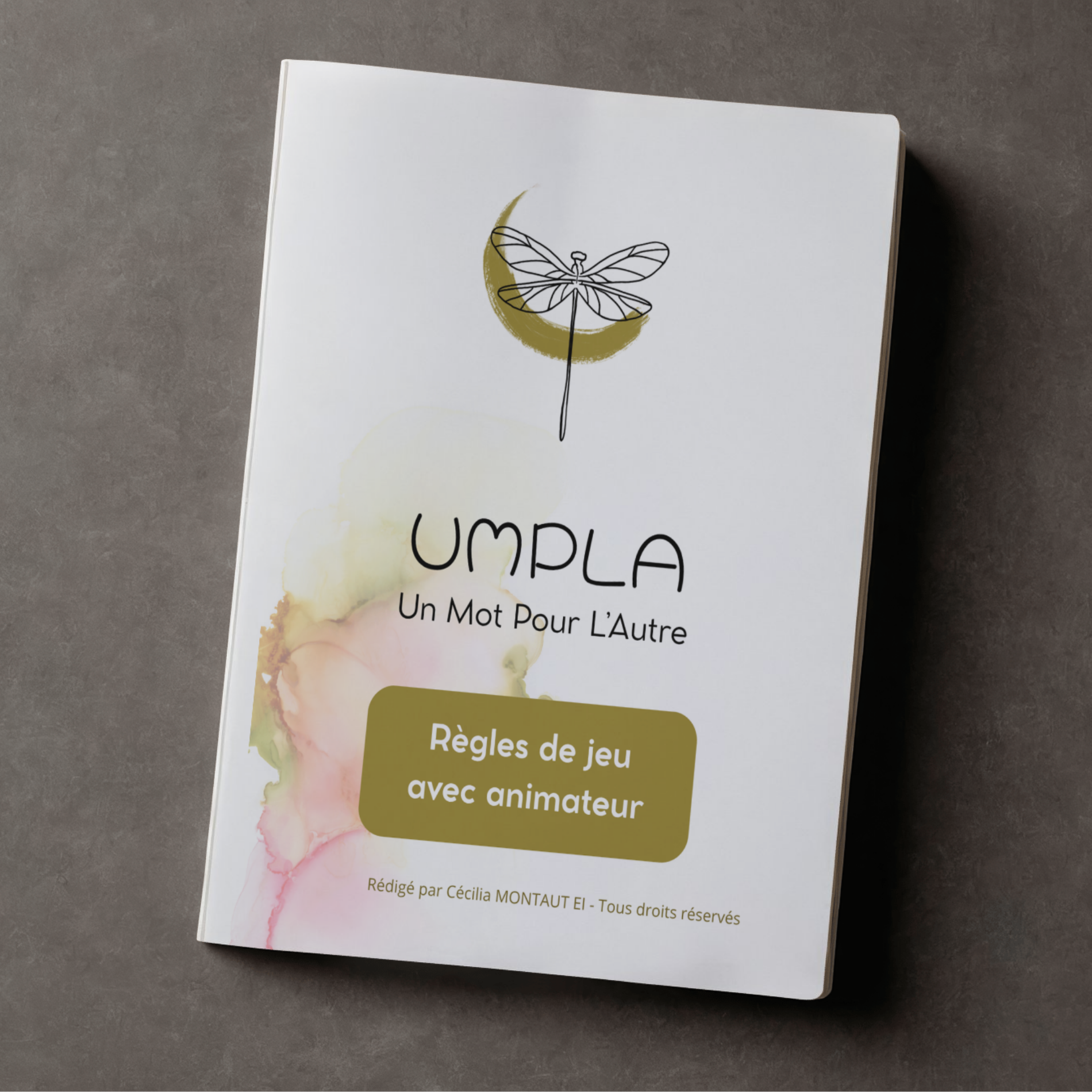 UMPLA - Règles de jeu avec animateur