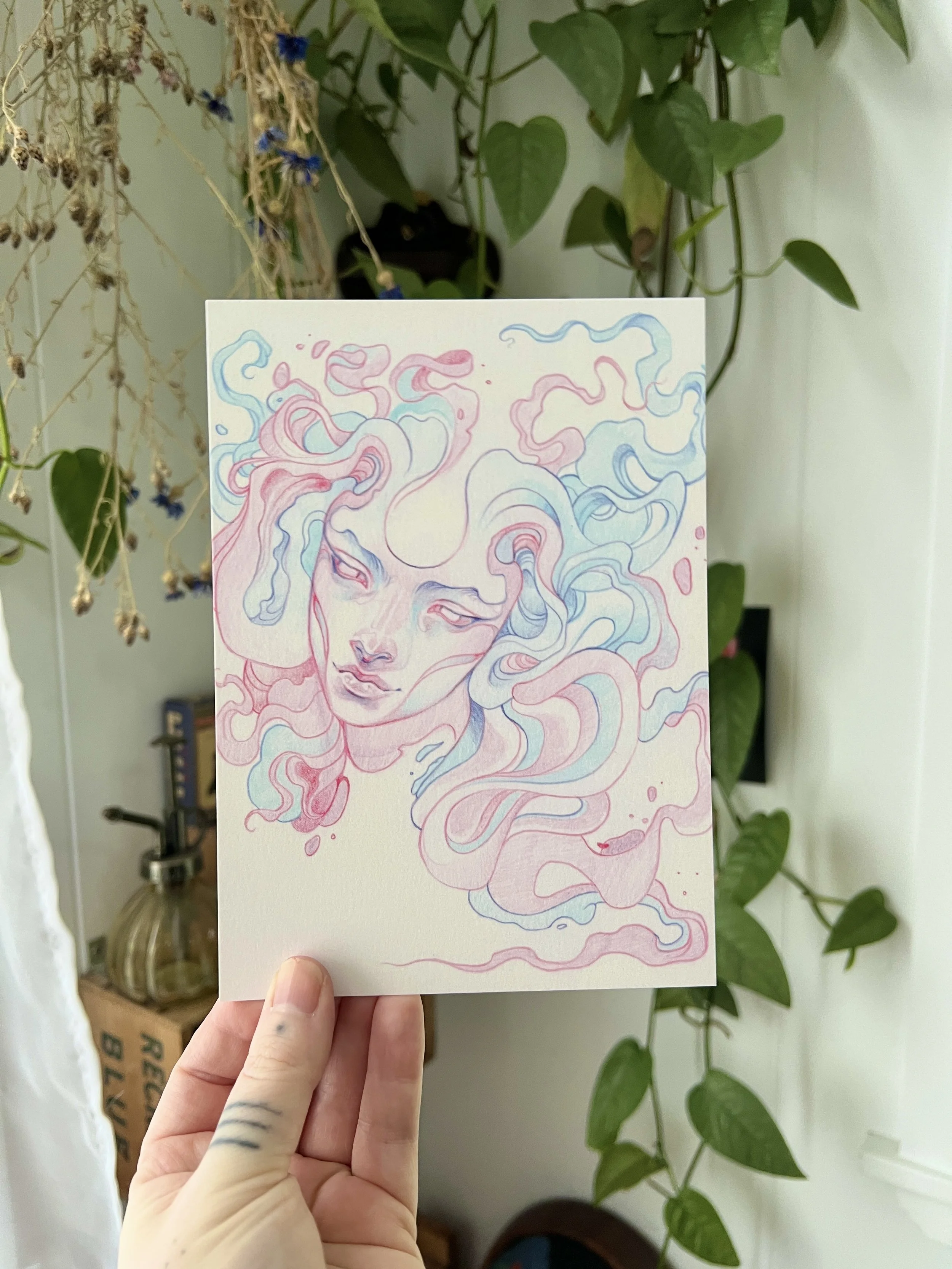 "intuitive no.2" small print