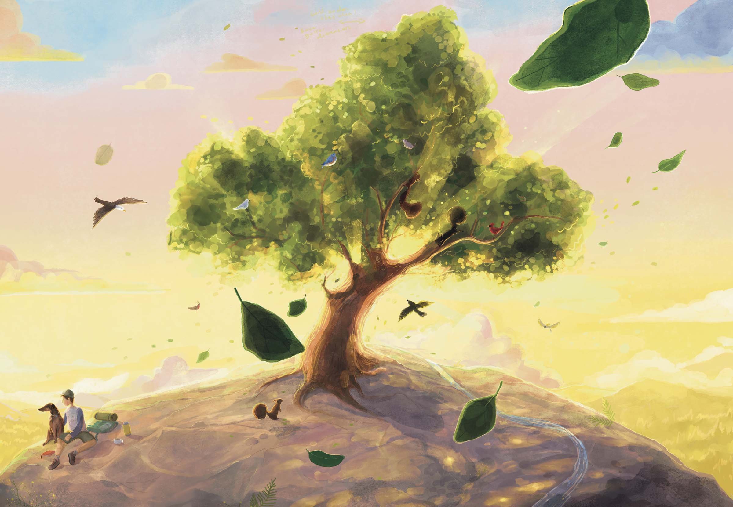 A colorful illustration of a large tree with lush green leaves on a hilltop. Birds fly around the tree, and leaves are falling. A person with a dog and camping gear sits on the ground to the left, enjoying the view at sunset with a soft yellow sky an
