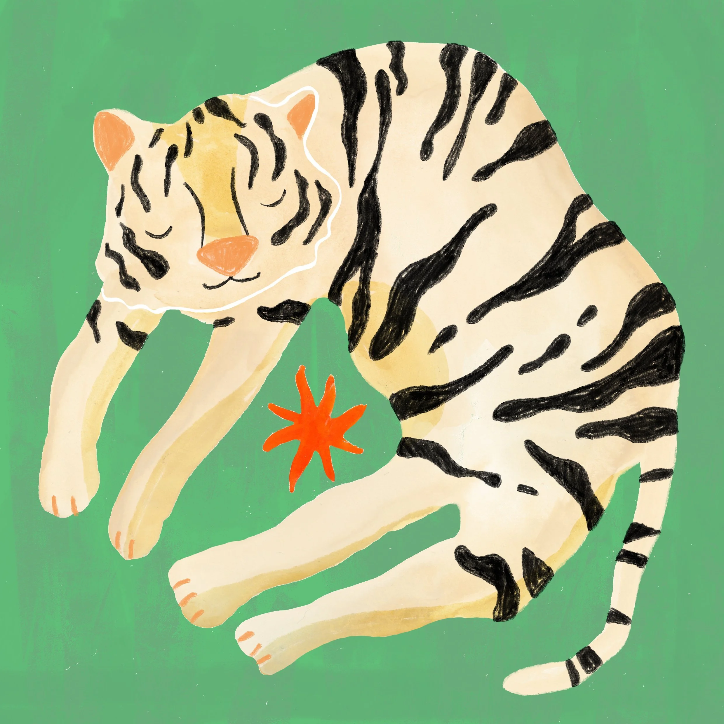 A digital illustration of a sitting tiger with black stripes on cream-colored fur and a pink nose, against a green background, with an orange star-shaped object near its front paws.