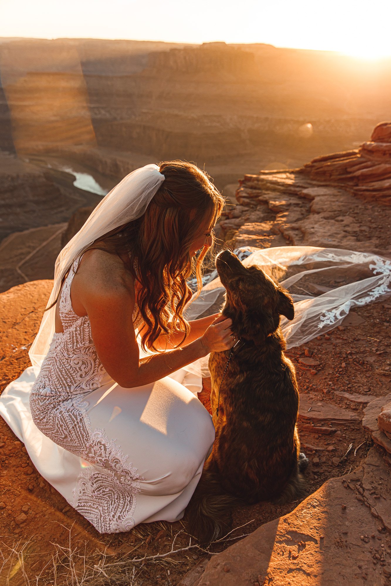 A woman with long, wavy hair wearing a lace wedding dress and a veil kneels on rocky ground, holding the face of a large German Shepherd dog, with the sun setting behind desert cliffs in the background.
