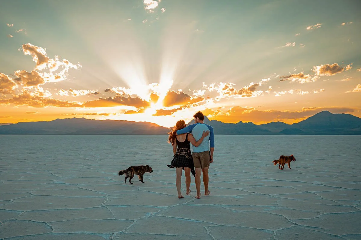 A couple walking on a salt flat at sunset, with two dogs nearby and mountains in the background.