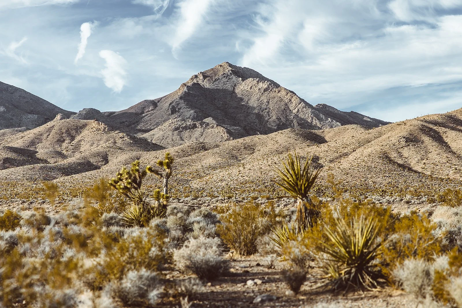 The Las Vegas Desert