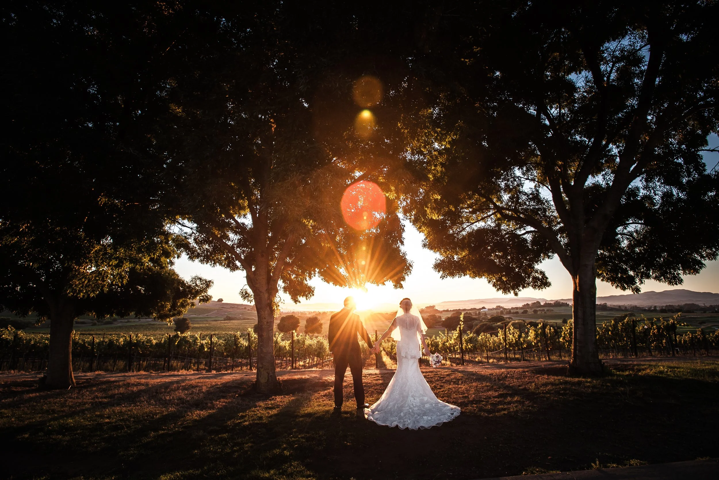 couple under trees at sunset