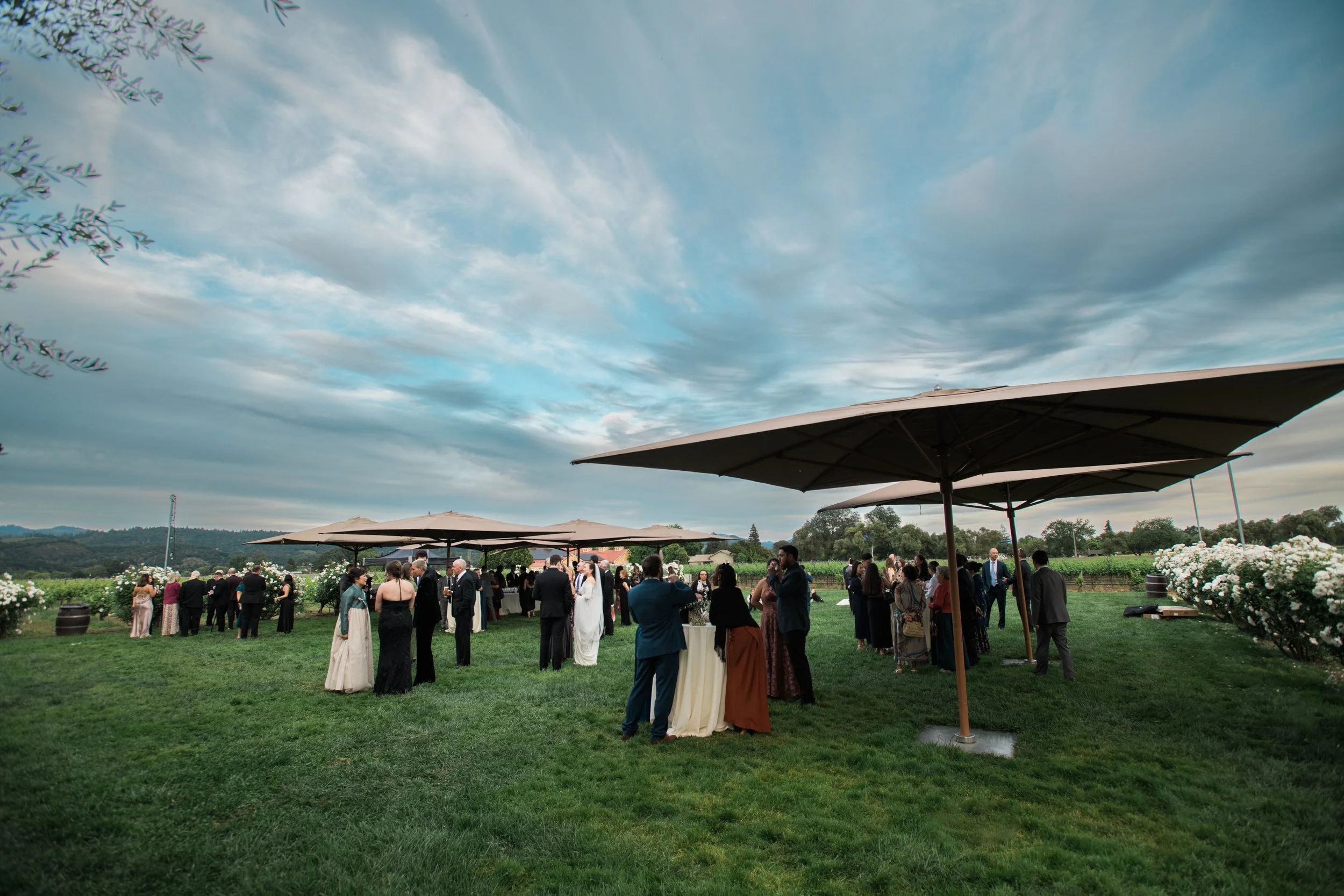 KenVialePhotography-42.jpg