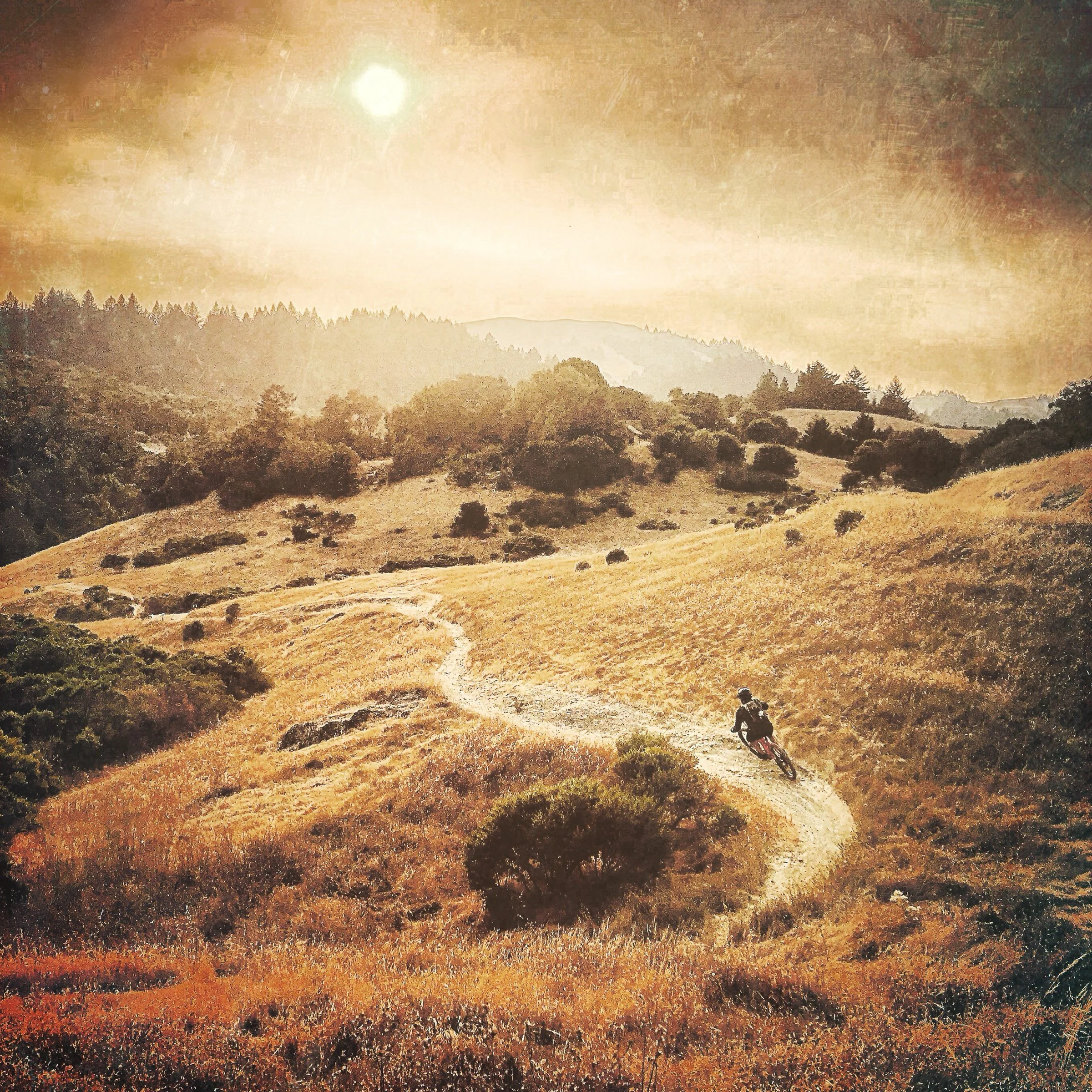 KenVialePhotography-8.jpg