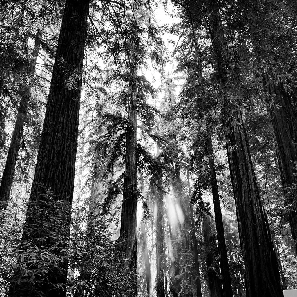 KenVialePhotography-11.jpg
