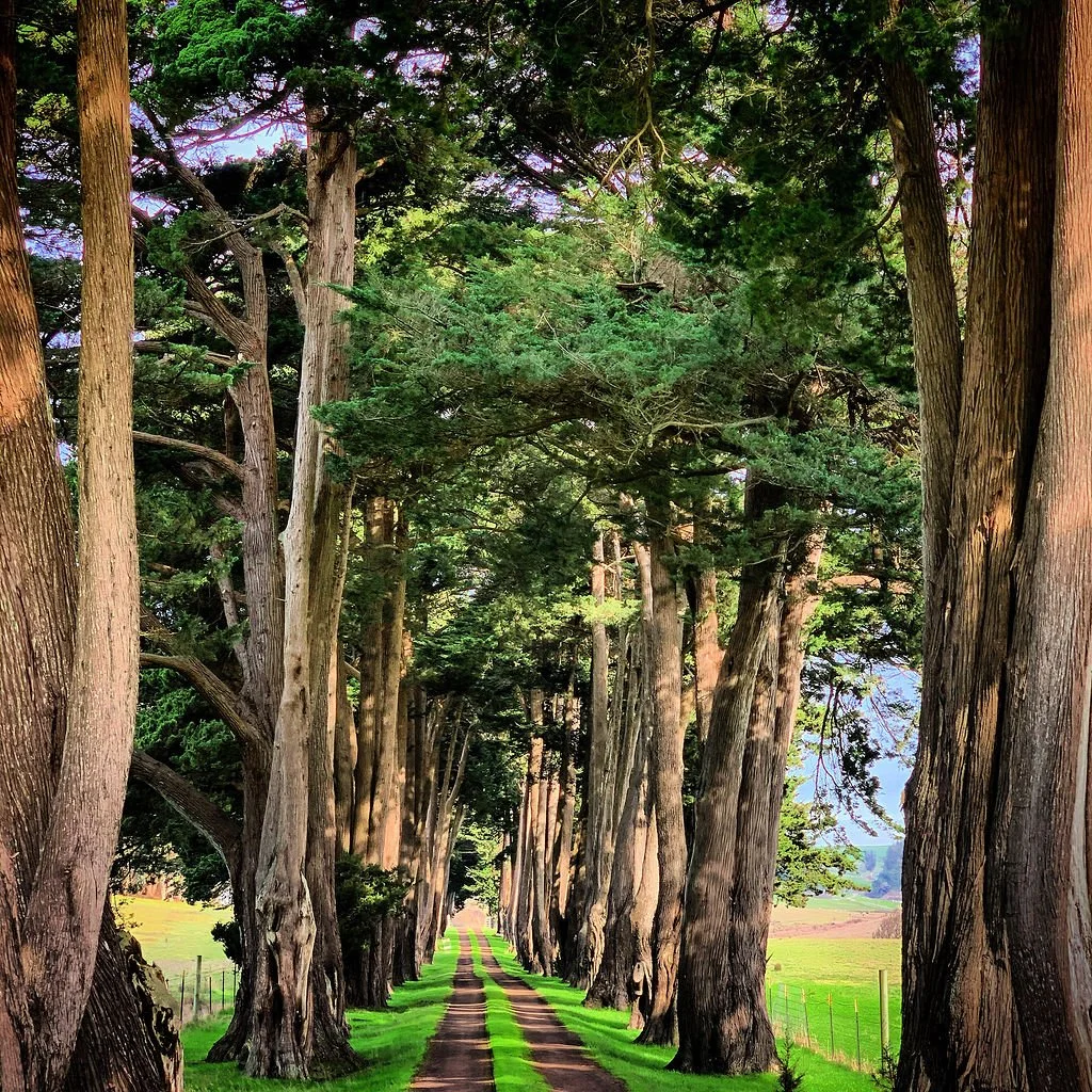 KenVialePhotography-7.jpg
