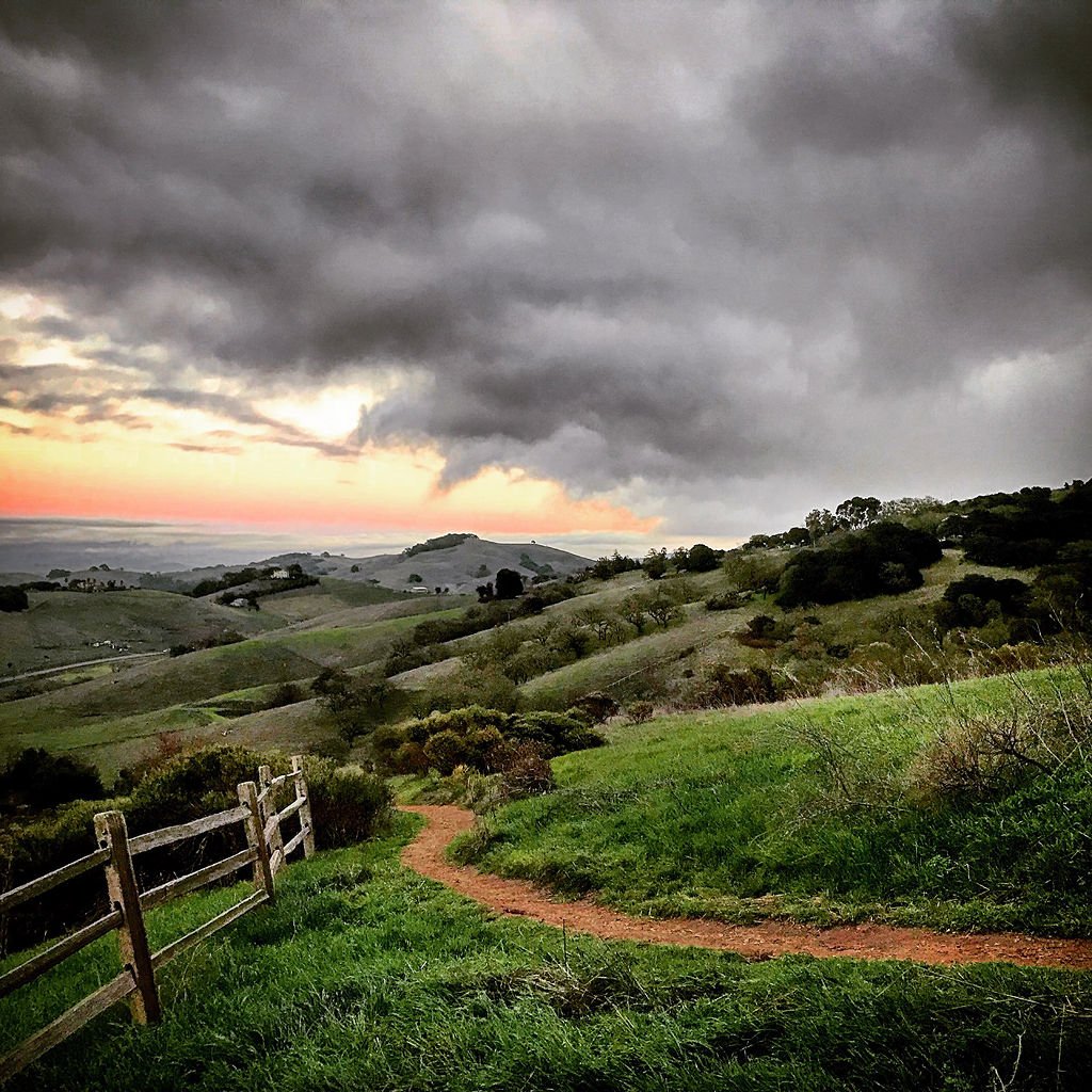 KenVialePhotography-37.jpg