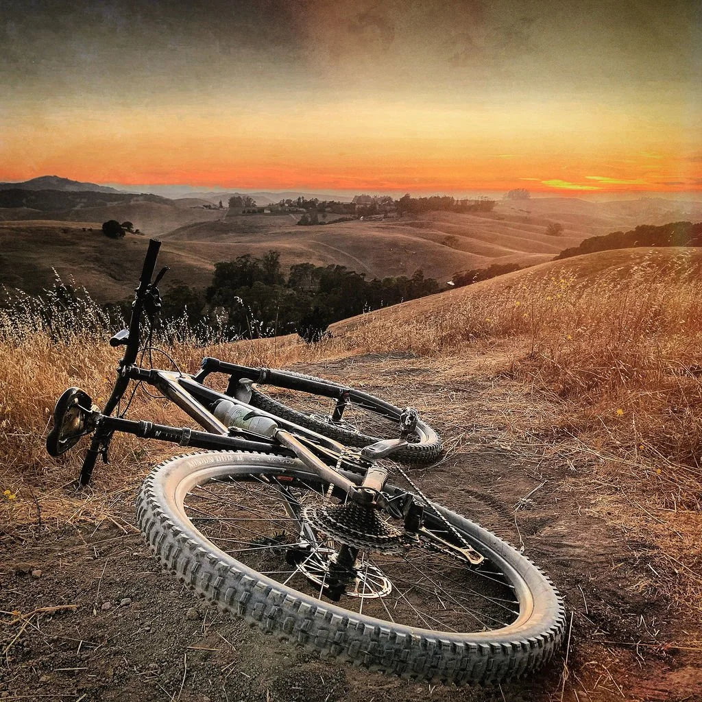 KenVialePhotography-44.jpg