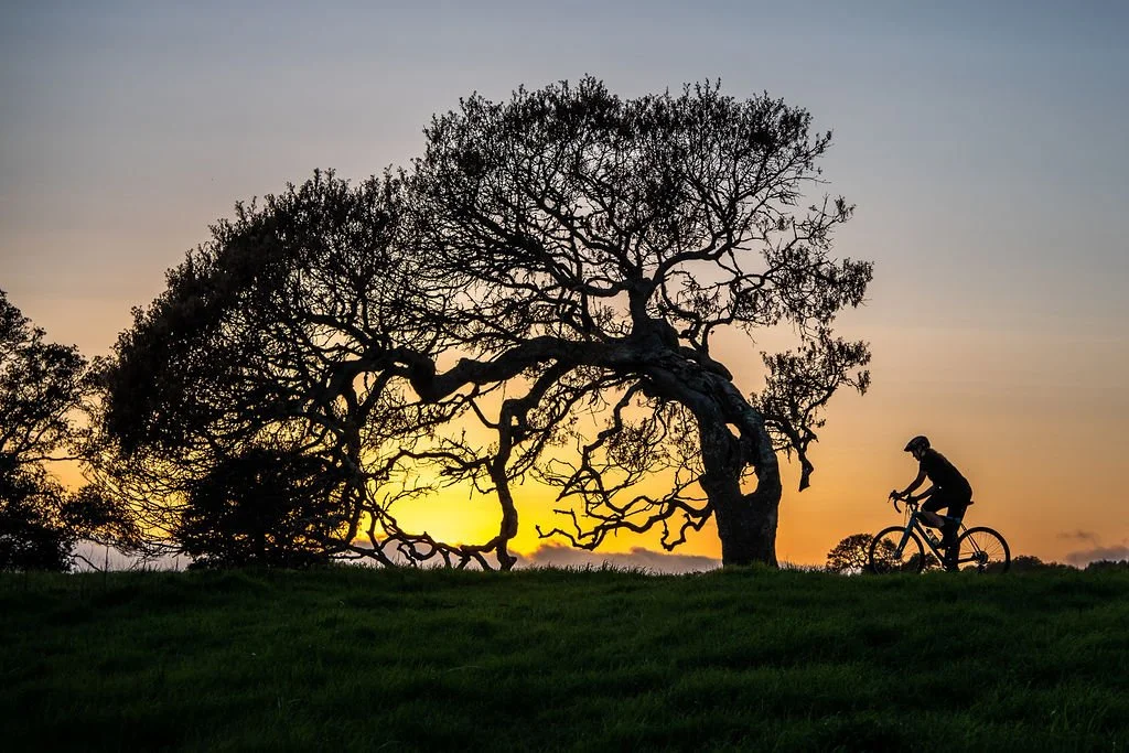 KenVialePhotography-48.jpg