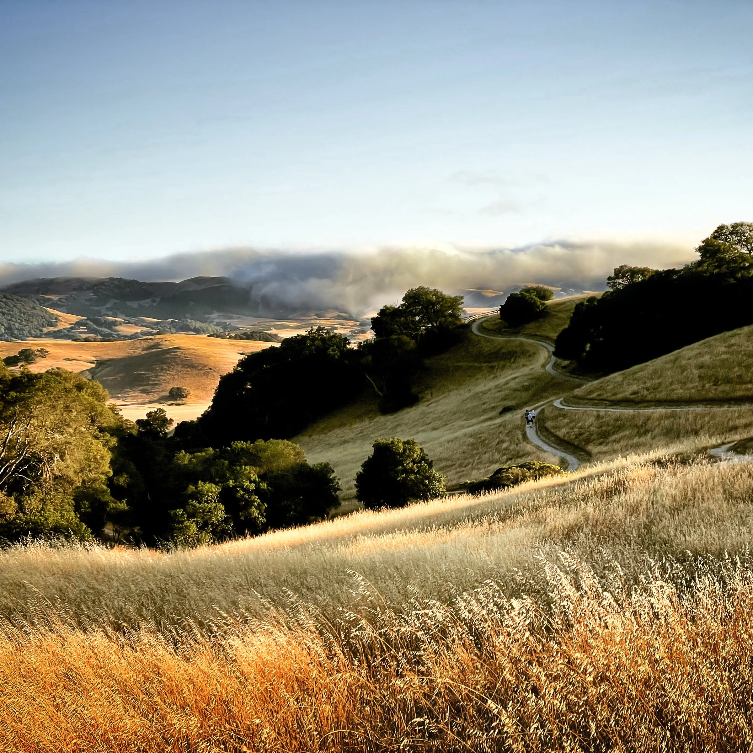KenVialePhotography-27.jpg