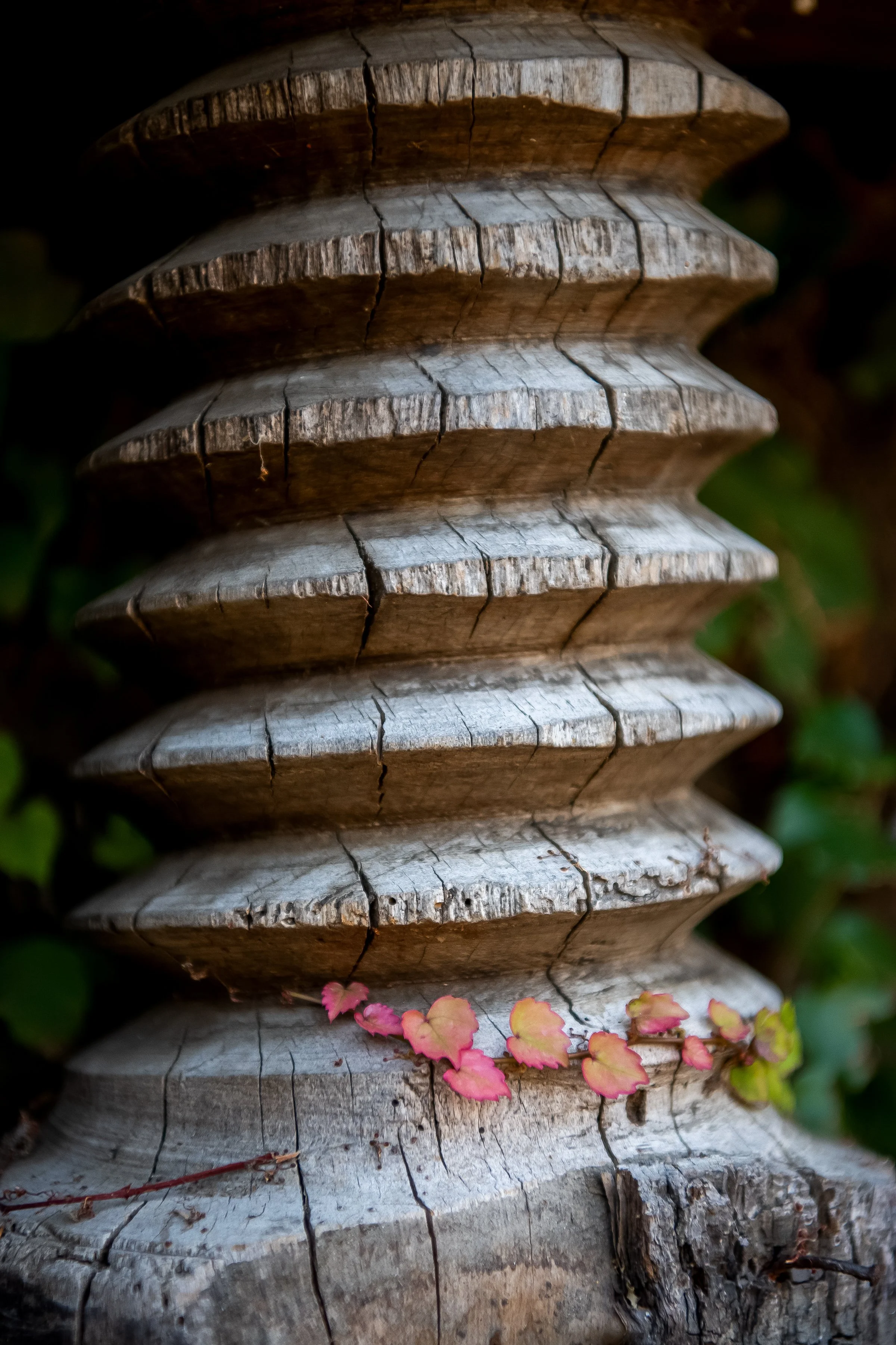 KenVialePhotography-9.jpg