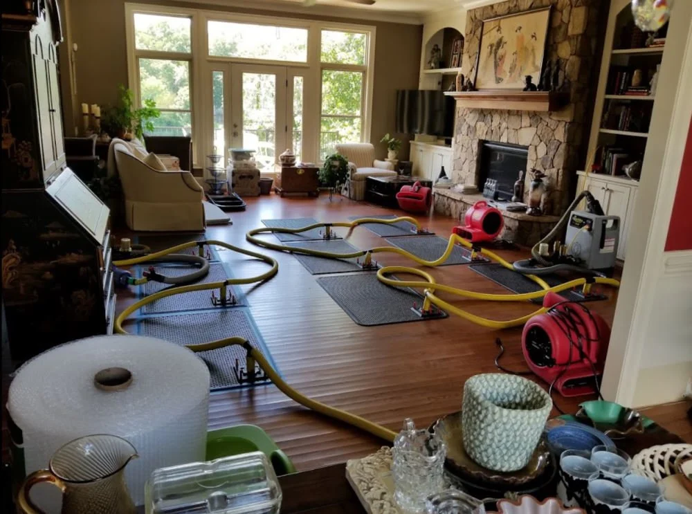 Living room with carpet cleaning equipment, including hoses, a portable dryer, and a vacuum, on hardwood floor, with furniture, fireplace, and large windows in the background.