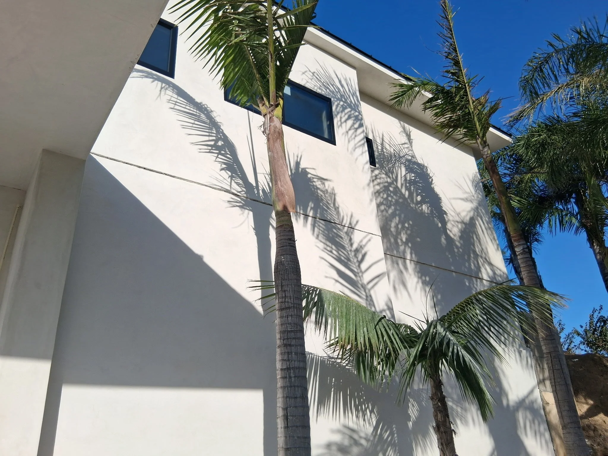 Different view of our customer residential project with small rectangular windows, surrounded by tall palm trees casting shadows on the wall, under a clear blue sky in Somi's California by AY Builders Los Angeles