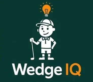 Wedge IQ