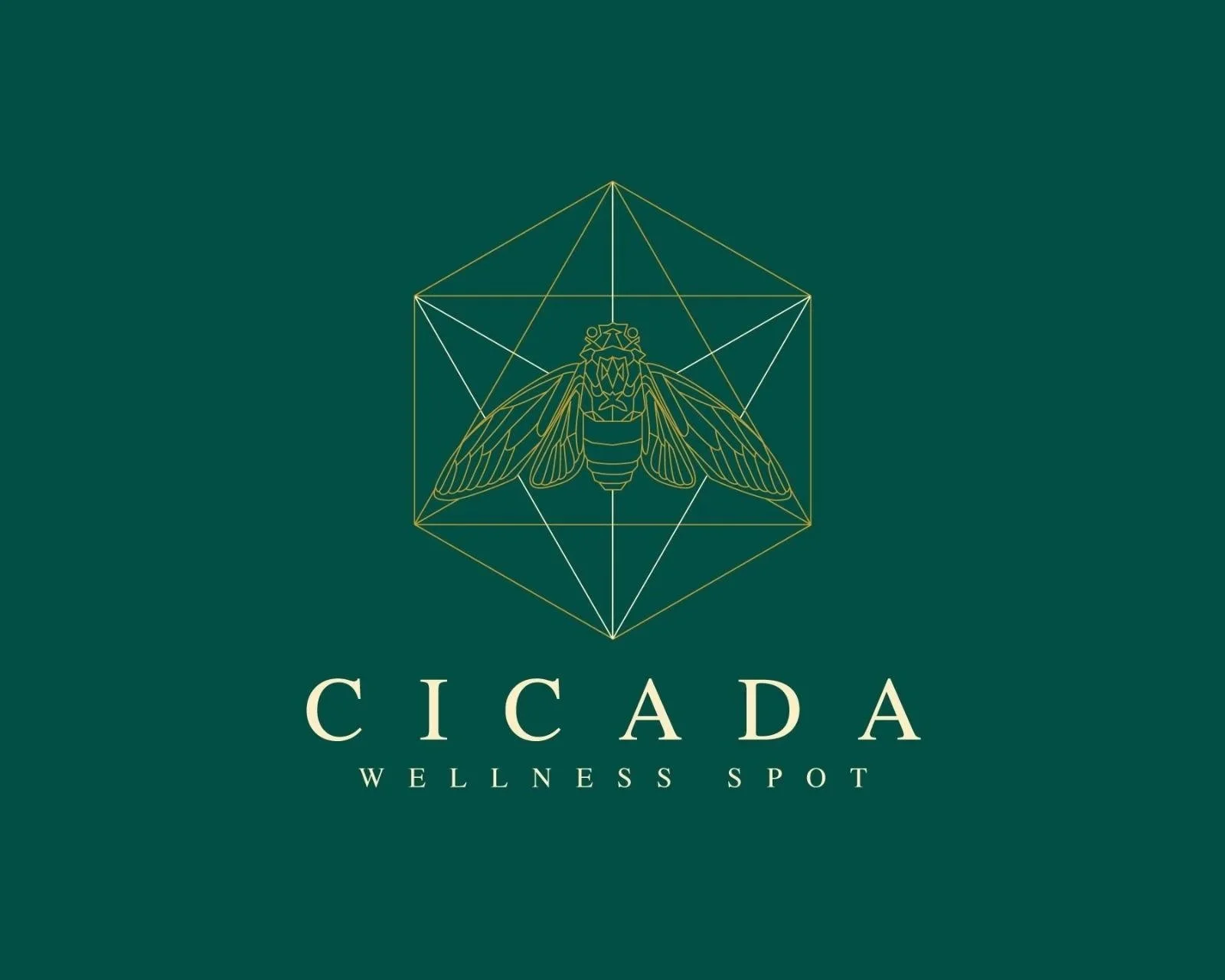 Logo for Cicada Wellness Spot featuring a geometric illustration of a cicada insect inside a cube with lines connecting the vertices.