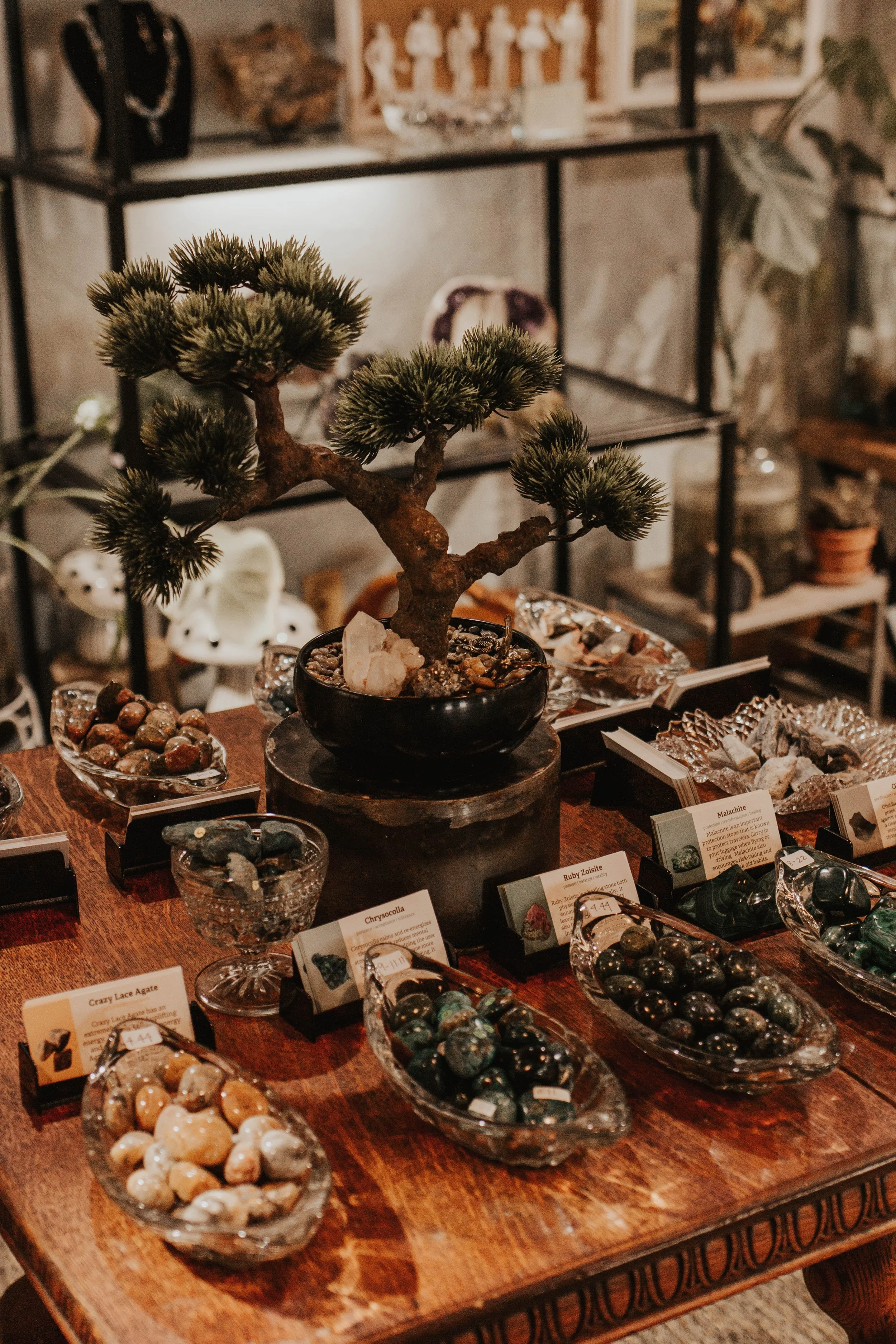 plants and crystals for sale at Mirthy
