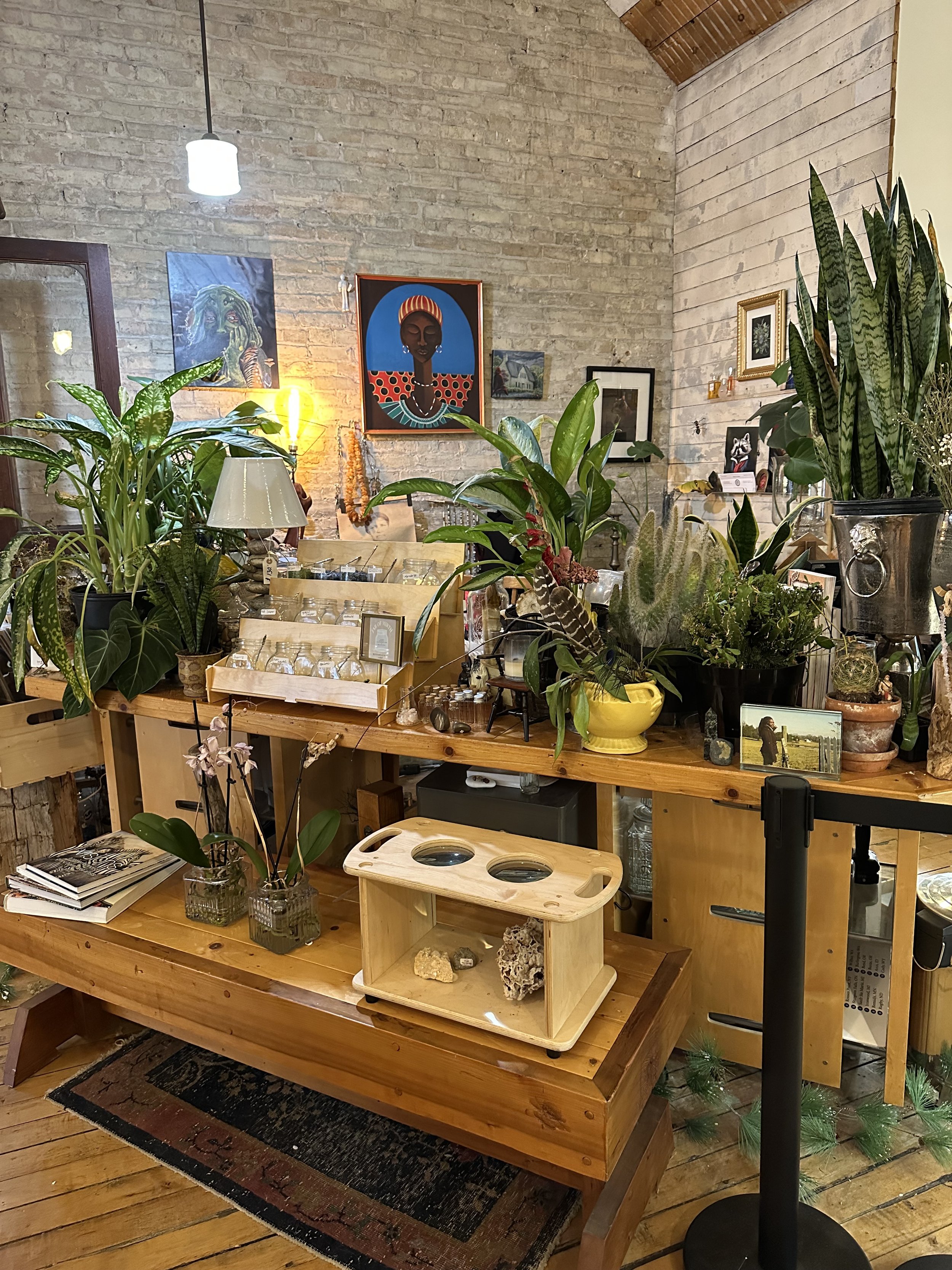 plants and gems at Mirthy Gem Emporium in Grand Haven, Michigan