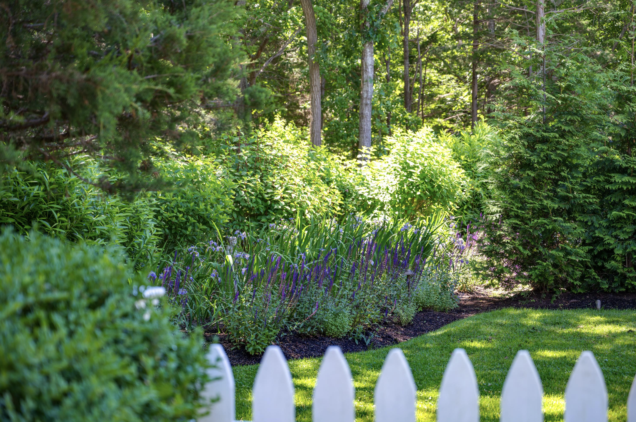 Screenshot 2026-02-02 at 10.08.48 PM.png