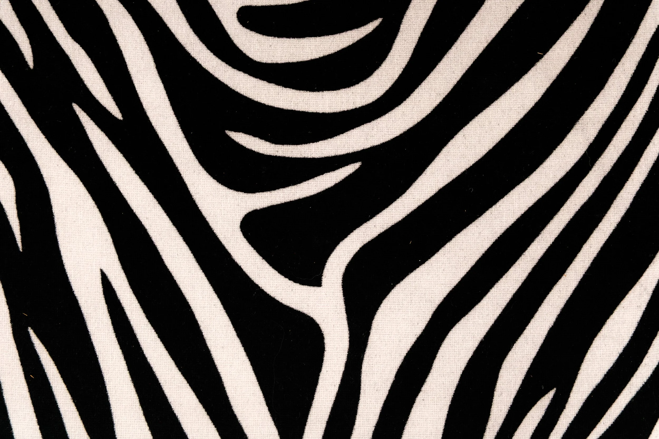 DSCF5717.jpg